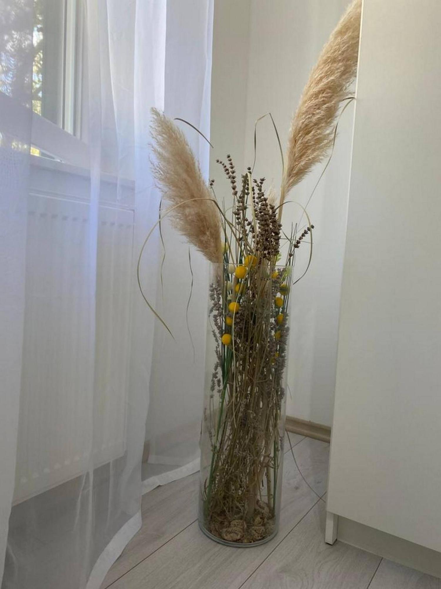 Rural Apartment Ante Drniš エクステリア 写真