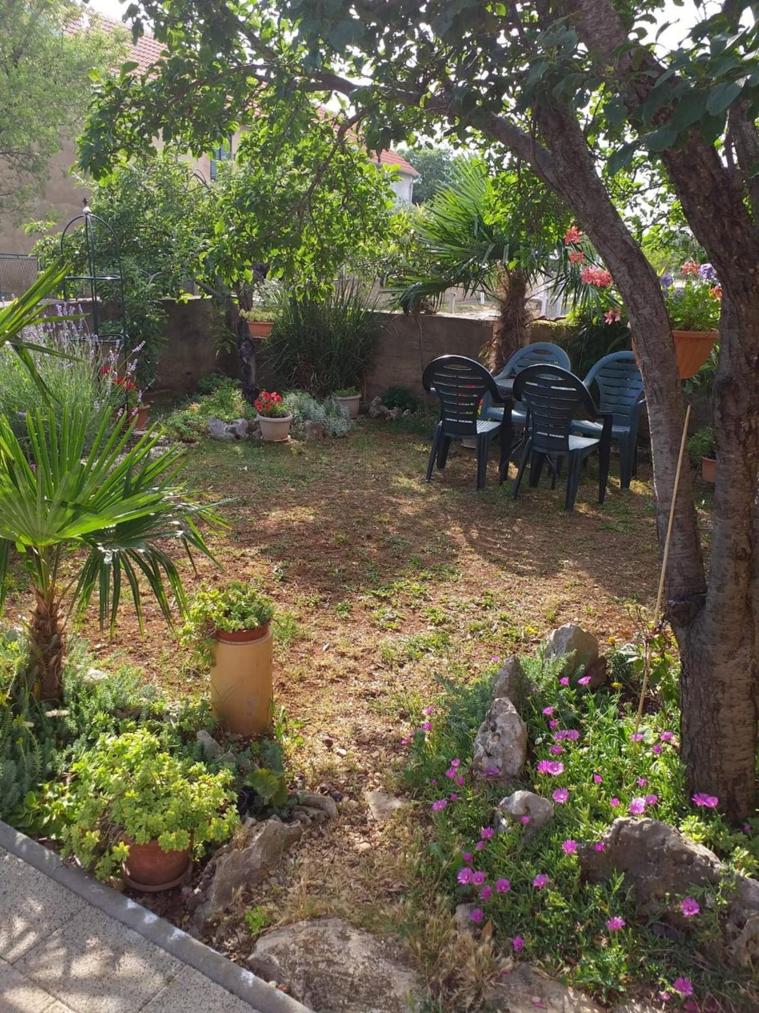 Rural Apartment Ante Drniš エクステリア 写真