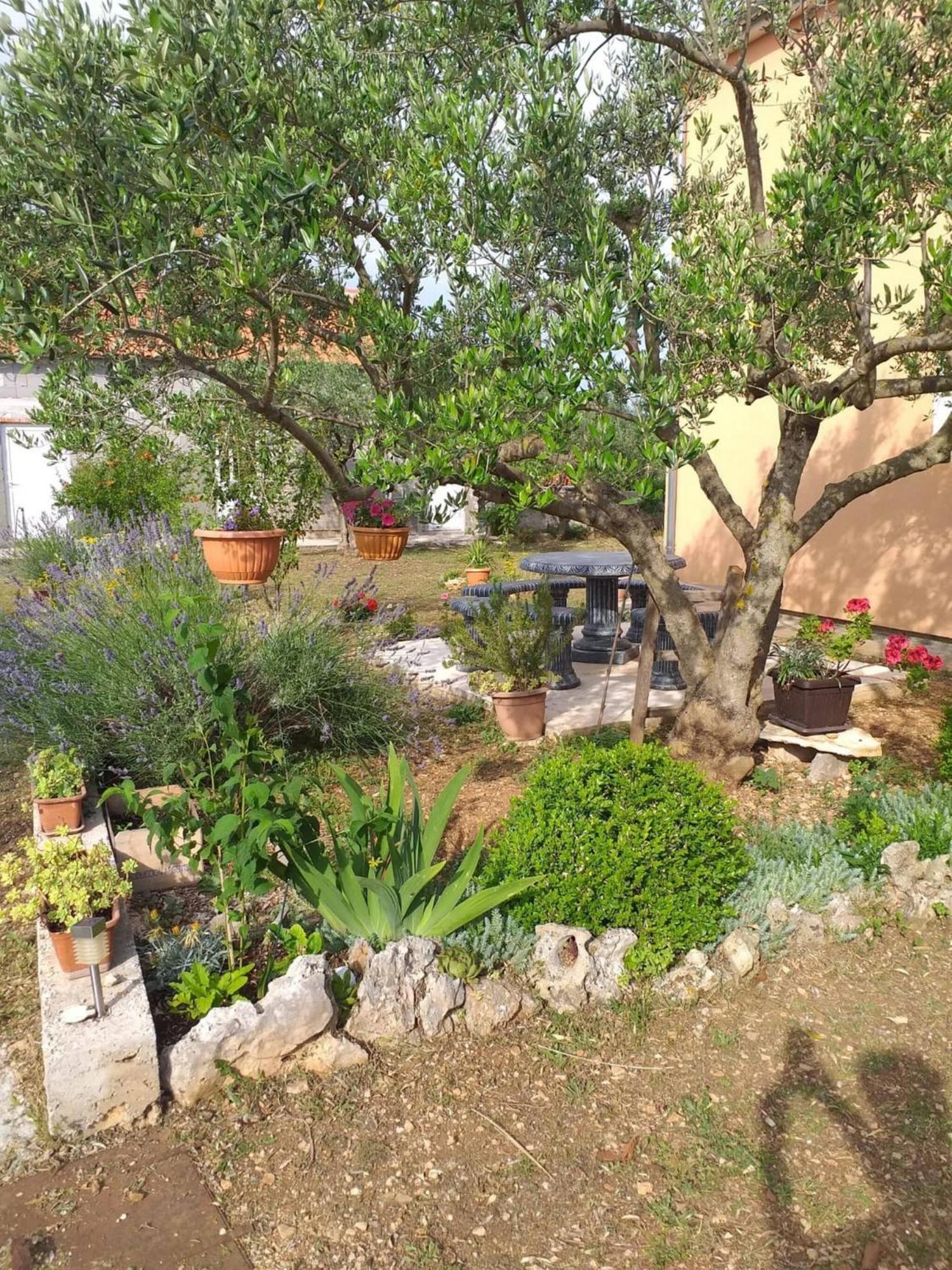 Rural Apartment Ante Drniš エクステリア 写真